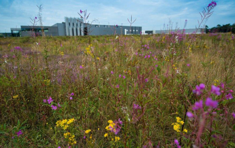 Vlaanderen dreigt zonder bedrijventerreinen te vallen: Voka wijst op landbouwgebruik in industriegebieden
