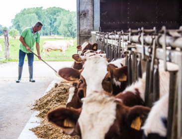 De Vlaamse melkveehouder is wereldwijd primus in klimaatvriendelijkheid