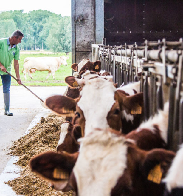 Europese Rekenkamer waarschuwt dat GLB-hervorming onzekerheid dreigt te vergroten
