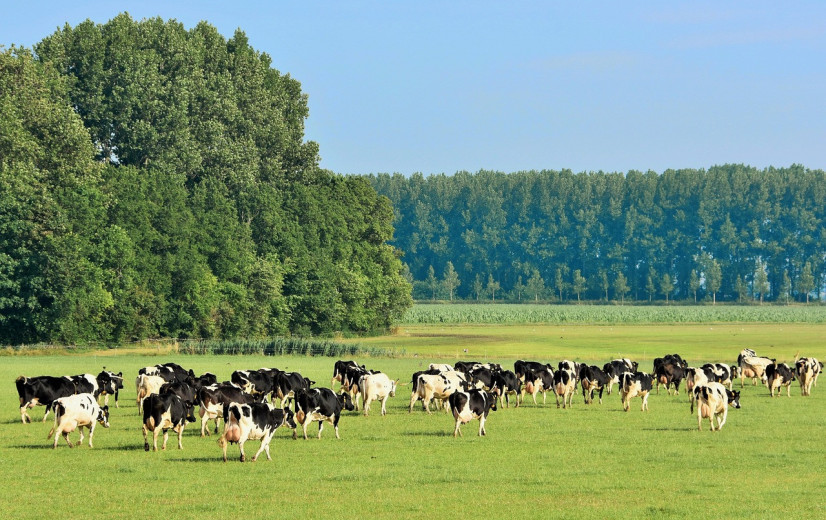 EU verdeeld over exacte klimaatdoelen 2035 en 2040