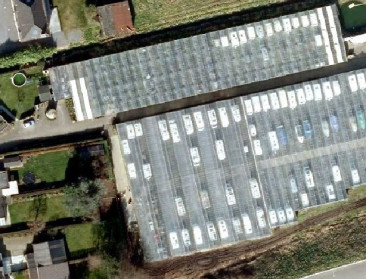 Transitieproces Oost-Vlaamse bloemenregio