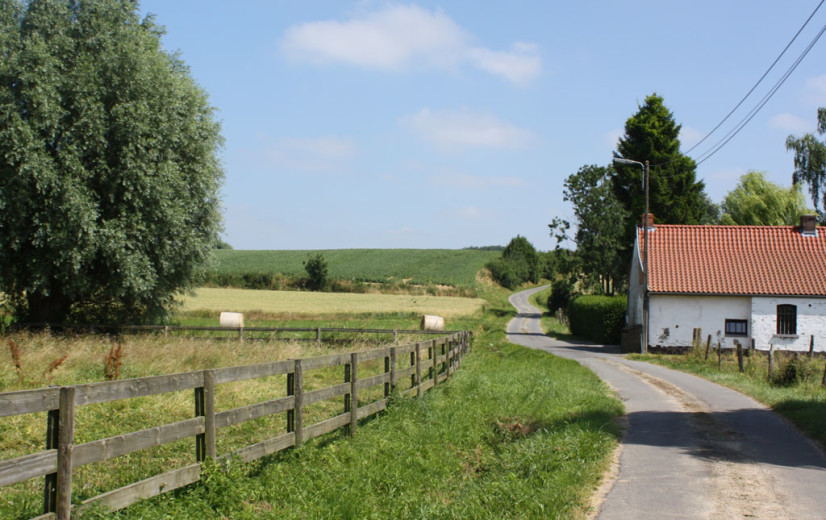 Boerenbond lanceert campagne “Platteland met stem” in aanloop naar de verkiezingen