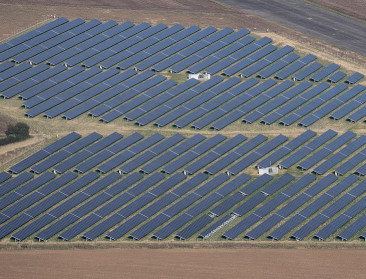 Boerenbond tegen zonnepanelen op landbouwgrond: "Zet nog meer druk op grond"