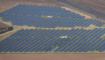 Boerenbond tegen zonnepanelen op landbouwgrond: "Zet nog meer druk op grond"