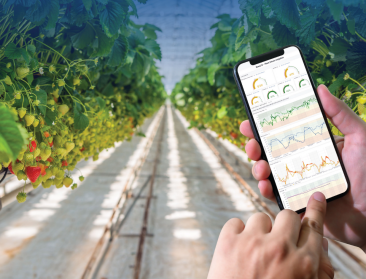 AIF ziet toekomst in ‘wearables voor planten’