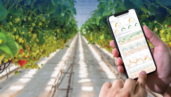 AIF ziet toekomst in ‘wearables voor planten’