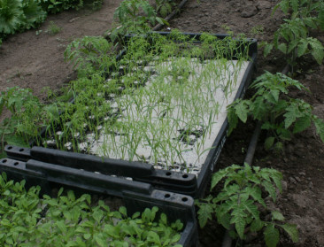 RTV kijkt mee met land- en tuinbouwers