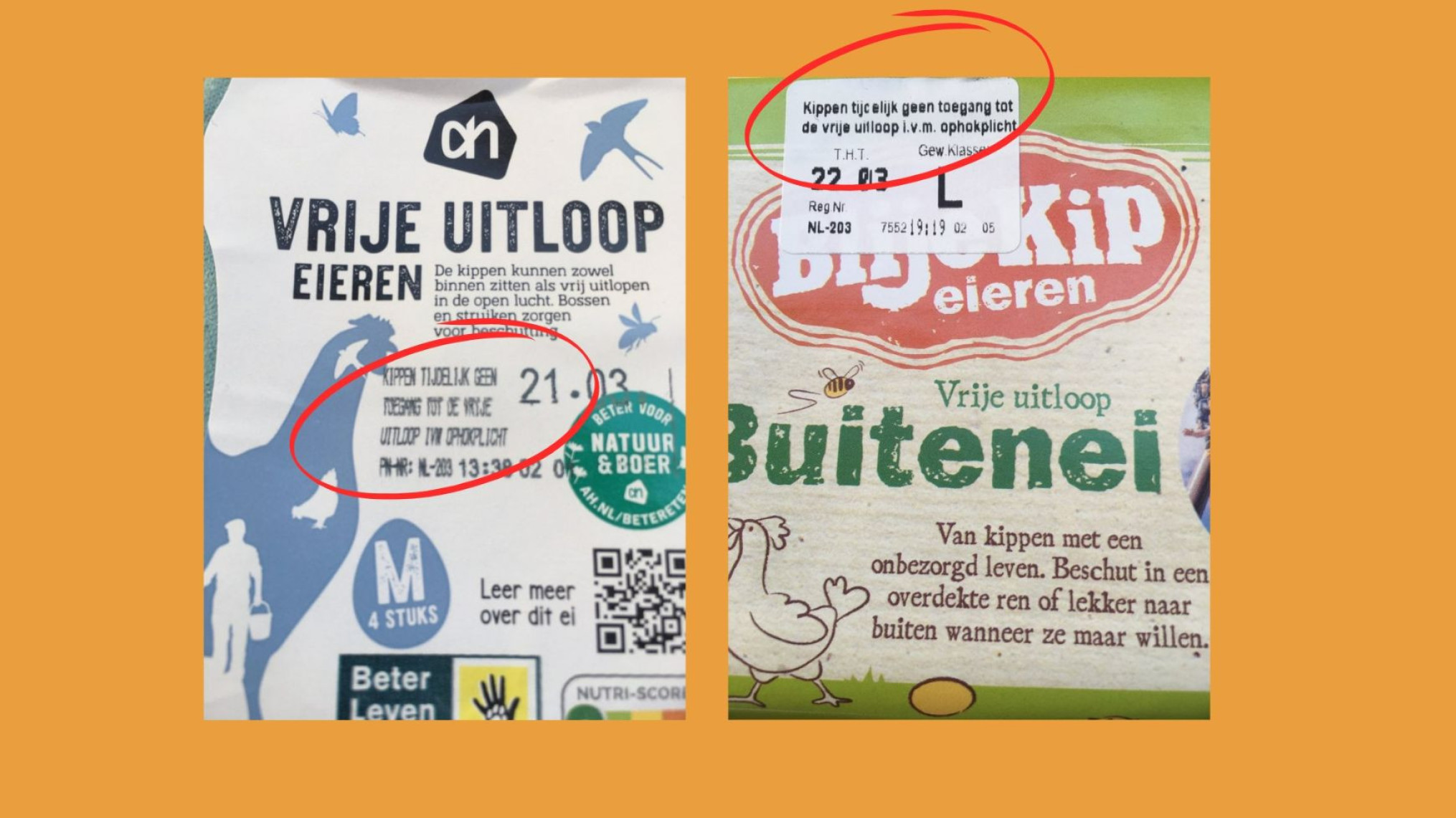 eierdoosjes_2