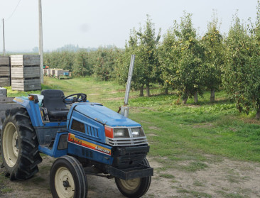 Krapte op arbeidsmarkt doet boeren Roemeens leren