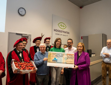 Aardbeienseizoen officieel afgetrapt bij Coöperatie Hoogstraten
