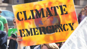 "Klimaatimpact terugdringen via duurzame intensivering"