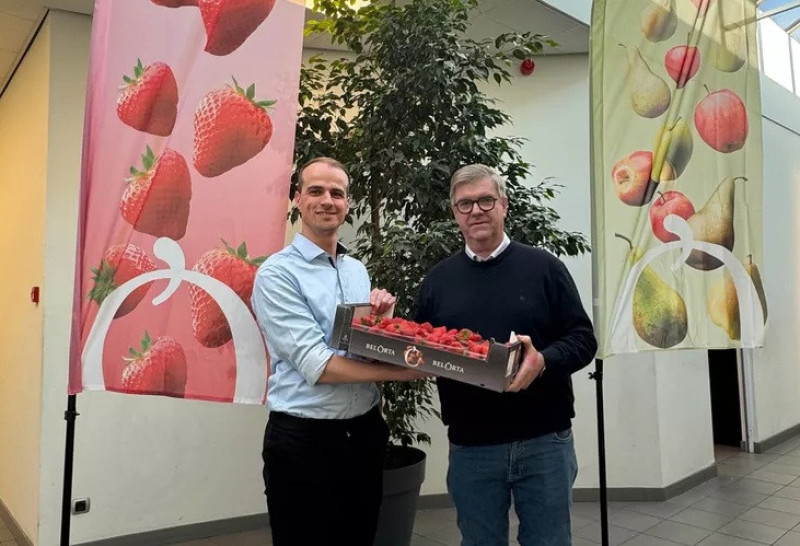 eerste aardbeien belorta2