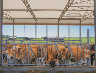 Land- en tuinbouwers investeren als nooit tevoren in verbreding en educatie
