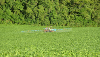 Bayer overweegt stopzetting productie Roundup door juridische druk in VS