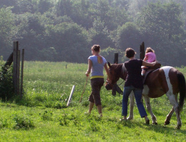 Nieuwe schijf van 850.000 euro voor Vinderhoutse bossen