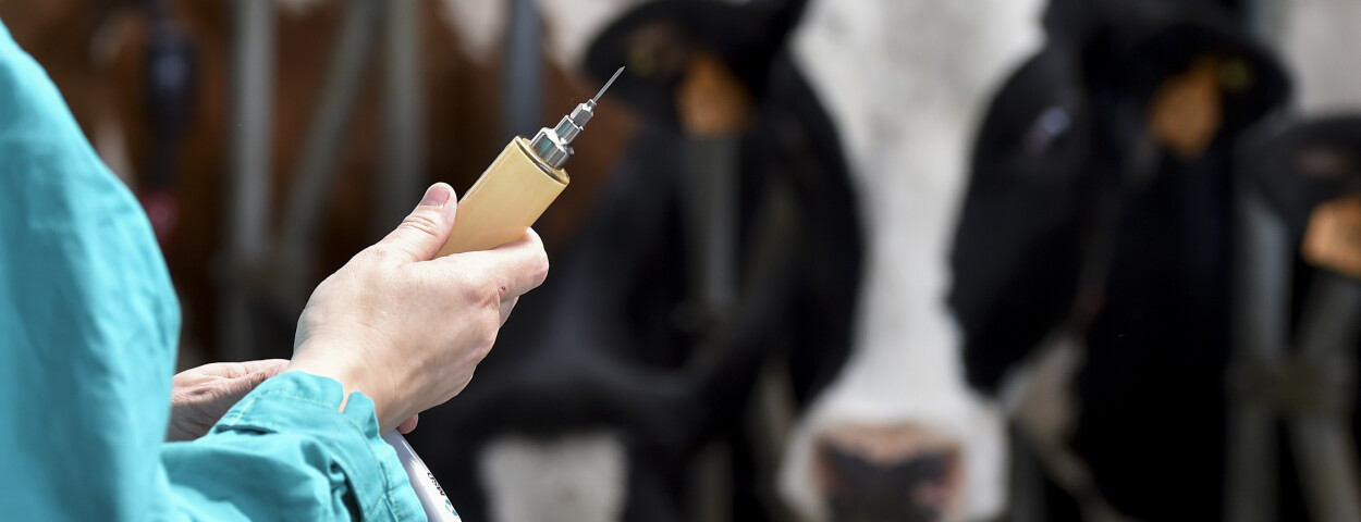 dierenarts vaccinatie _EU