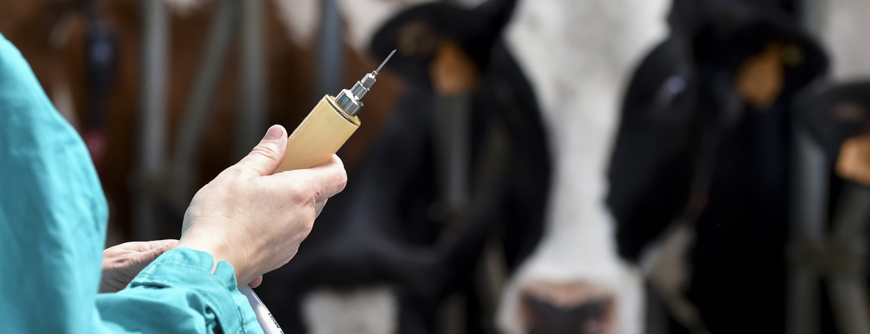 dierenarts vaccinatie _EU