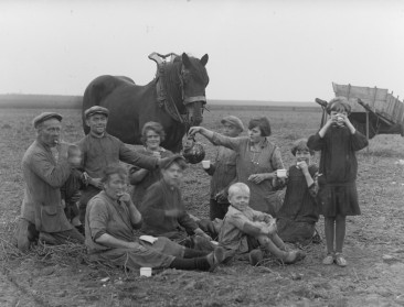 Lessen uit de 19de eeuw: “De overheid moet landbouwkeuzes maken”