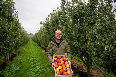Bram Distelmans van het fruitbedrijf Distelmans