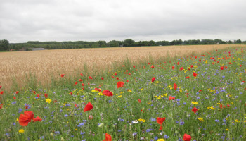 Enquête vraagt mening over GLB-beleid: wat loopt goed en wat kan beter?