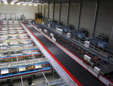 BFV-vlaggen hangen uit bij gebouwen Veiling Haspengouw