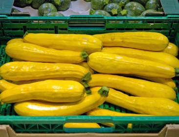 "Bio kan efficiënt, modern en grootschalig zijn"