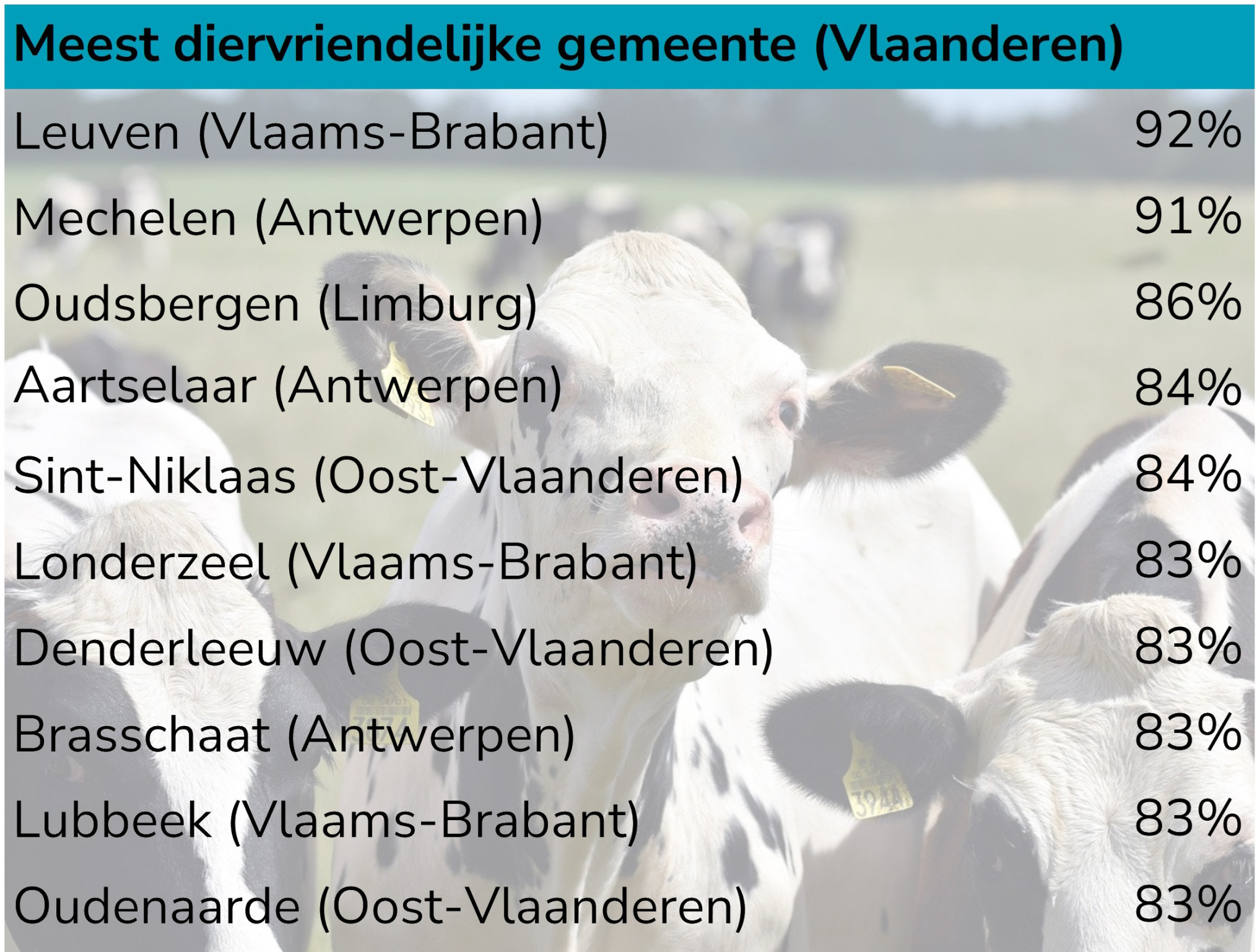 Vlaamse diervriendelijke gemeenten VILT