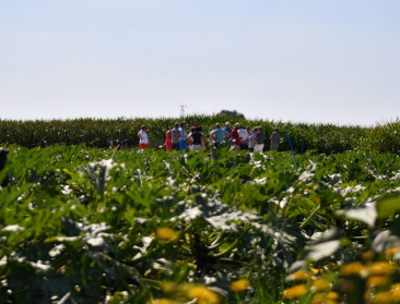 Inagro bedankt proefveldhouders voor partnerschap