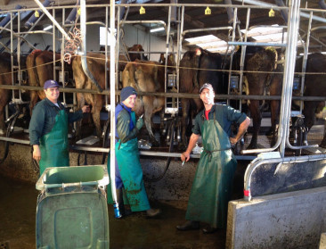 New Zealand Dairy Careers