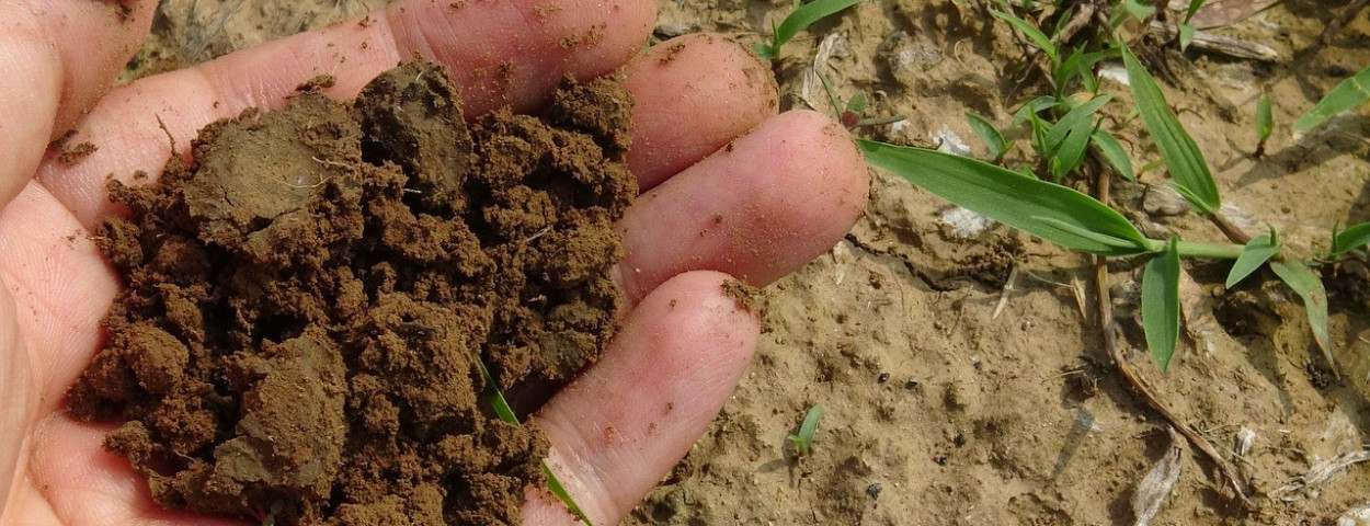 bodem-grond-koolstofopslag-aarde-1280