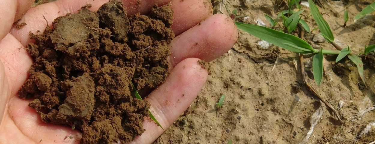 bodem-grond-koolstofopslag-aarde-1280