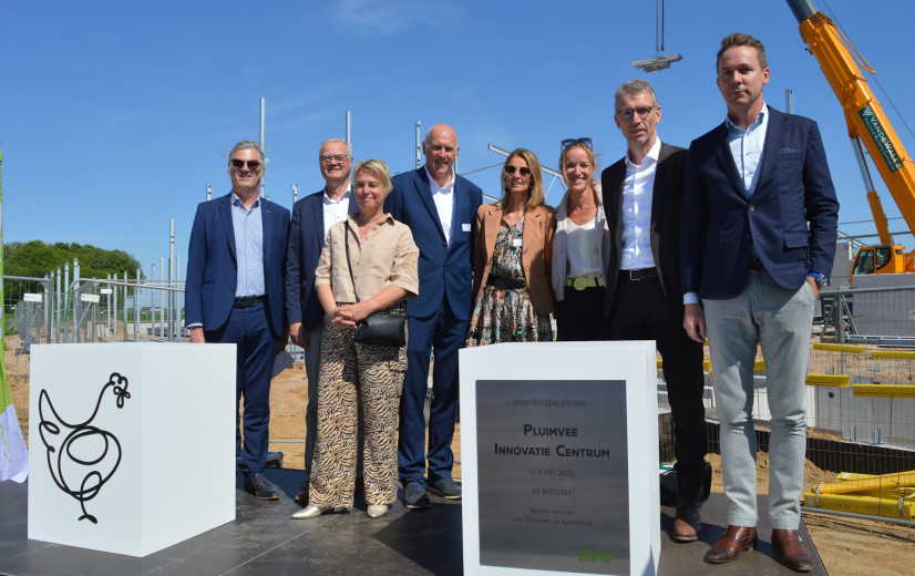 ILVO bouwt nieuw huis voor de kip van de toekomst