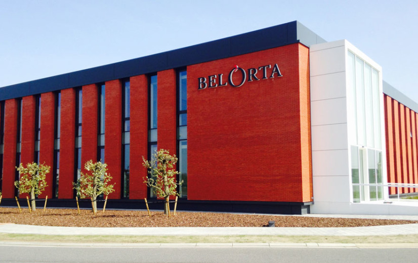 BelOrta ziet dit jaar minder telers en minder areaal