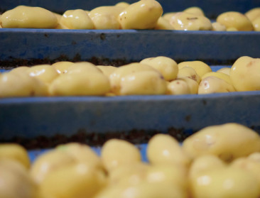 Agristo zet internationale expansie voort en bouwt nu ook nieuwe fabriek in VS