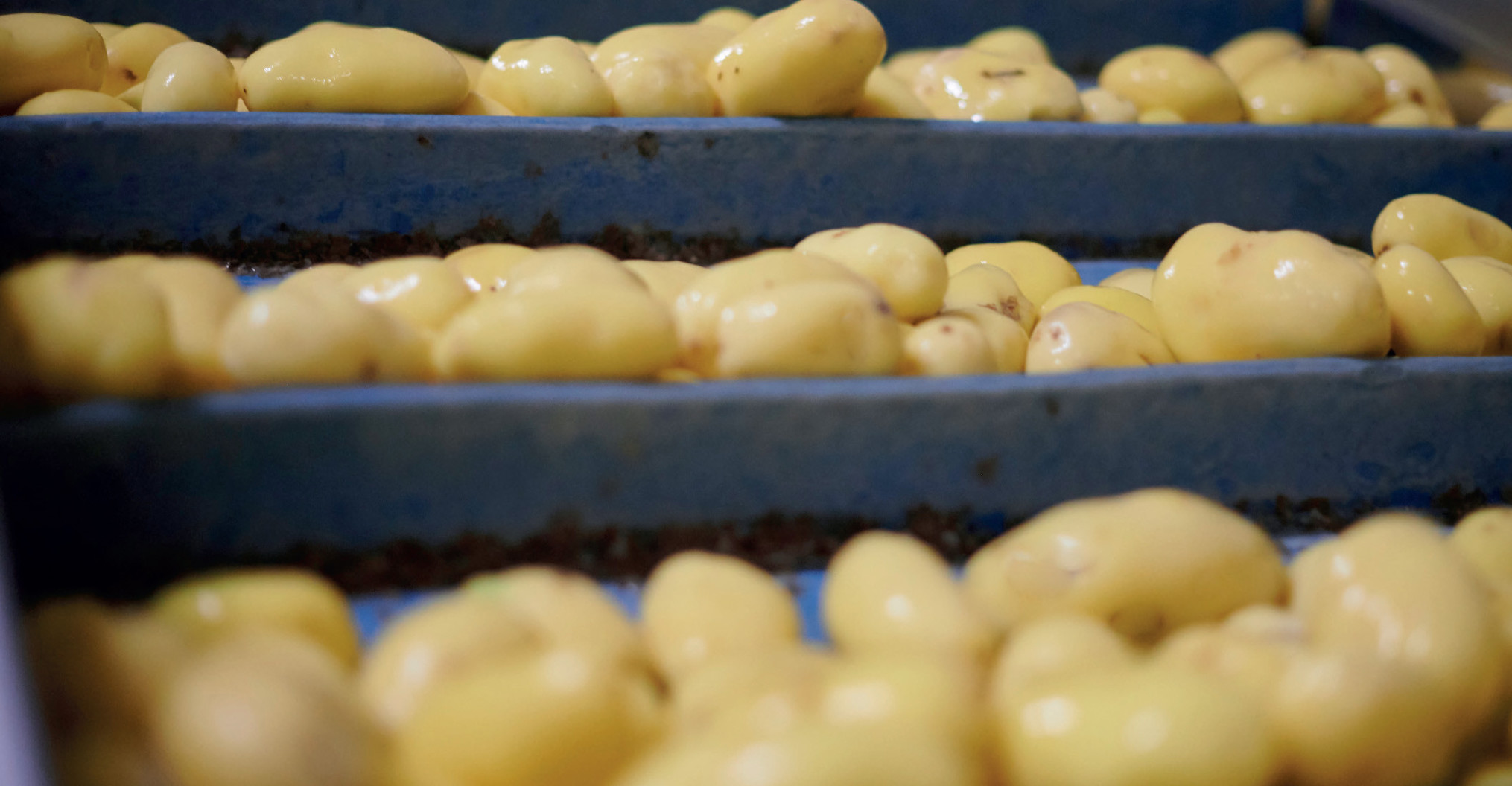 Terwijl Vlaamse handel krimpt, blijft handel in landbou