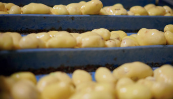 Agristo zet internationale expansie voort en bouwt nu ook nieuwe fabriek in VS