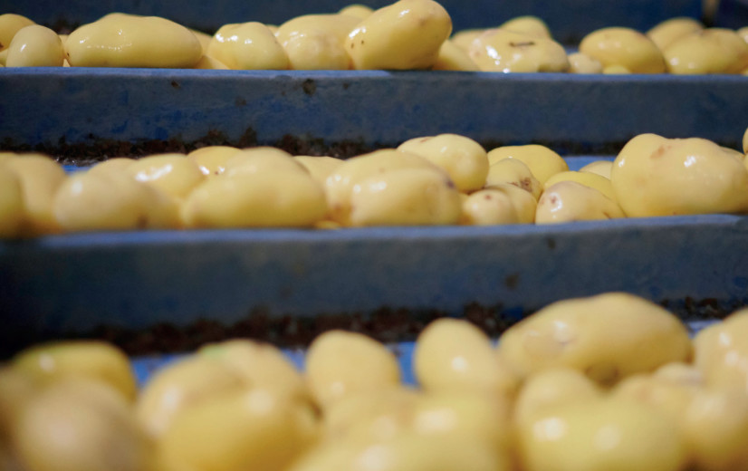 Agristo zet internationale expansie voort en bouwt nu ook nieuwe fabriek in VS
