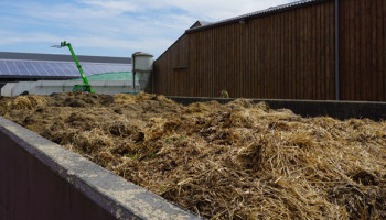 Vlaams Parlement bevraagt Brouns over verdubbeling geurnorm bestaande boerderijen