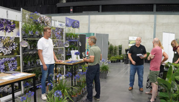 Sierteelt in de ban van exotische planten en logistiek op Florall