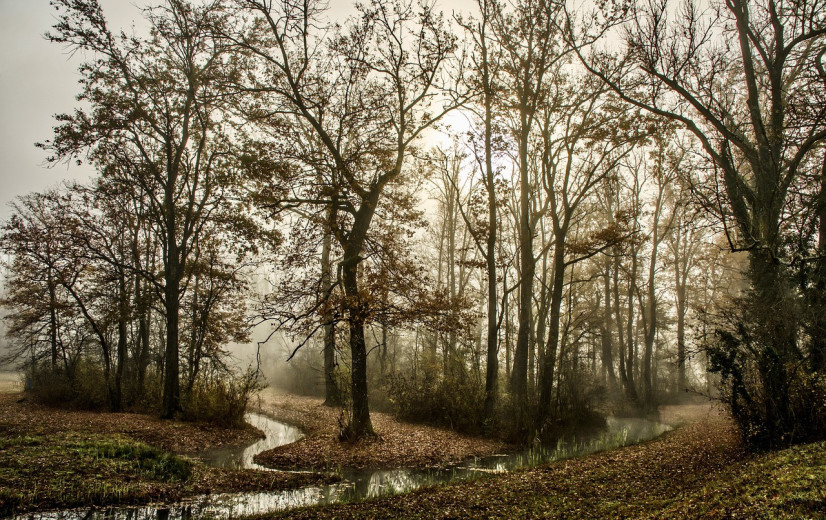 Ondanks droge meimaand, betere grondwaterstand dan vorig jaar