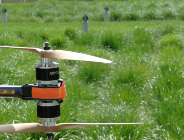 Beter verteerbaar gras voor minder methaanuitstoot koe