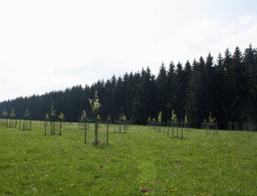 Deelstaten akkoord over verdeling klimaatinspanning