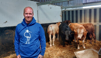 Landbouwer Cederic Fierlafijn uit Dendermonde wint Gouden Grutto: "Nestbescherming is kleine moeite"