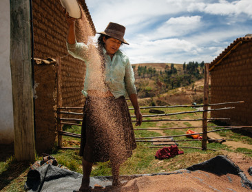 Colruyt werkt aan duurzame voedselketen in Peru