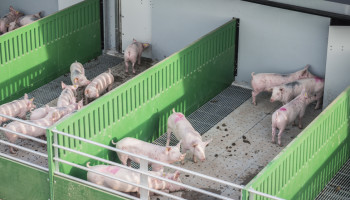 Biosector pleit voor ‘lighthousebedrijven’ als onderzoeksinfrastructuur voor biologische veehouderij