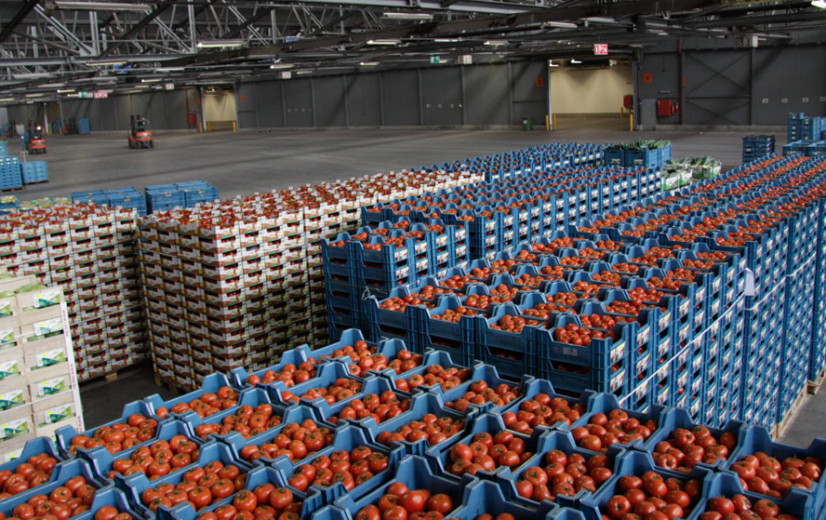 Belgische tuinbouwcoöperaties doorbreken 1 miljard-omzetgrens in 2020