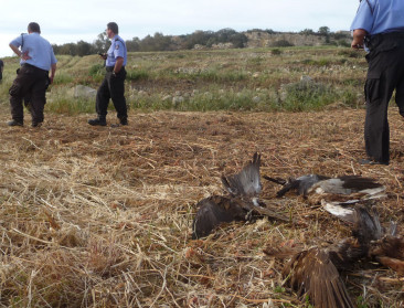 "Milieucommissaris uit Malta is onbegrijpelijk"