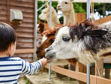 Oost-Vlaamse zorgboerderijen zetten autisme centraal op Wereld Autisme Dag