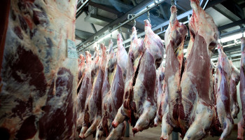 Prijzen voor rundvlees bereiken records in Verenigde Staten