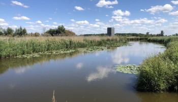 Triazolen in West-Vlaams drinkwater: verhoogde concentraties gevonden bij sojaverwerkend bedrijf